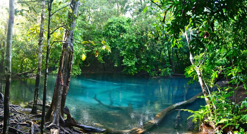 Emerald Pool Krabi